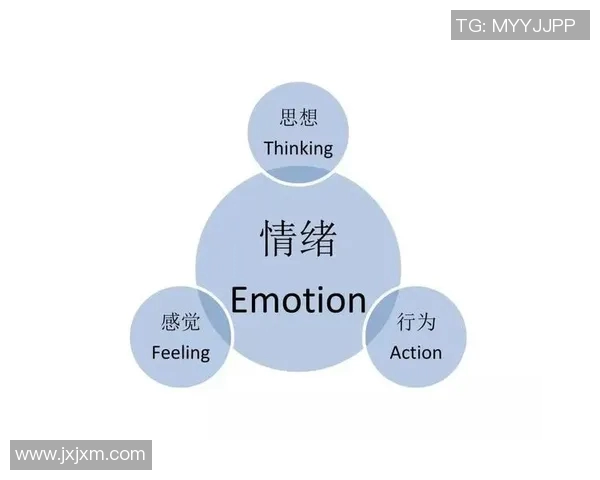 心理素质训练对提升个人抗压能力与情绪管理的关键作用分析